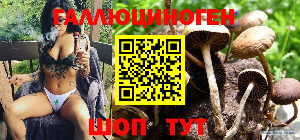 Истра  Псилоцибиновые грибы Magic Shrooms  цены   Вход с VPN 