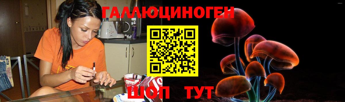 Псилоцибиновые грибы MAGIC MUSHROOMS Истра
